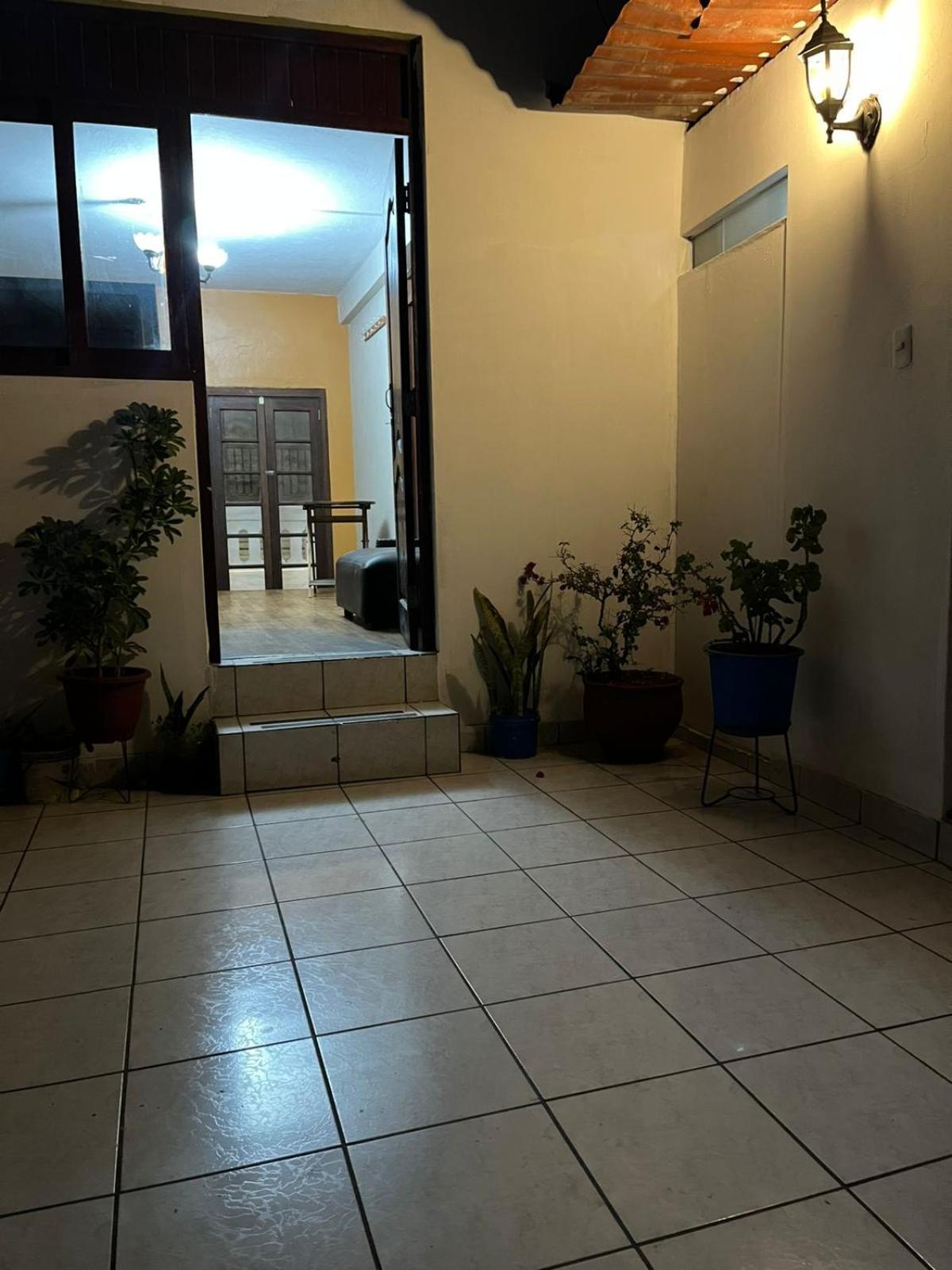 Hotel Orkkowasi Backpackers à Arequipa Extérieur photo